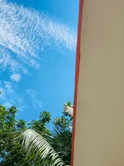 Tending Skype video
