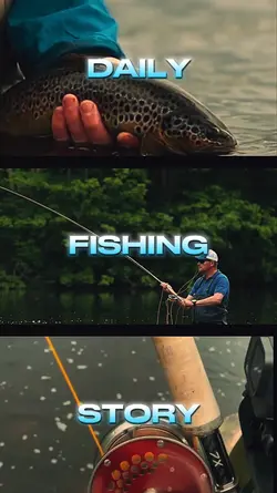 daily fly fishing