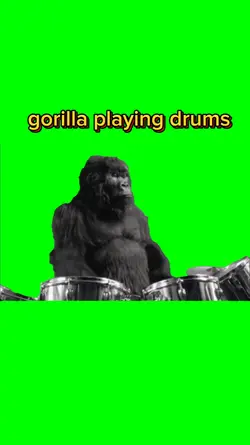 Gorilla playing drum