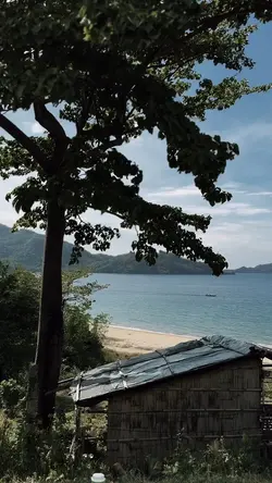 CINEMATIC SCENERY 