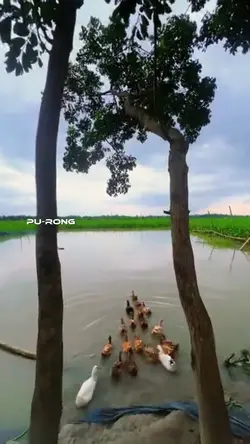 នាងអើយអញ្ជើញទៅណា?