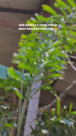 Akan kembali menyala
