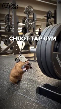 Mẫu chuột tập gym