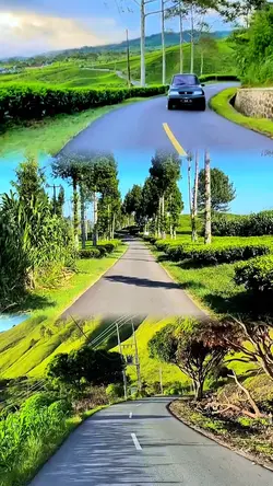 3 video 1 layout HD