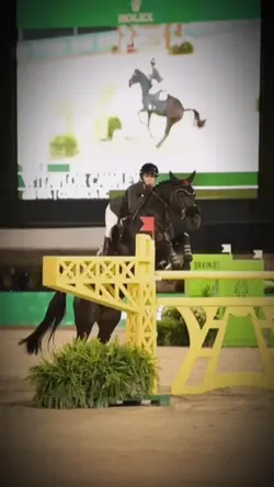 Showjumping edit