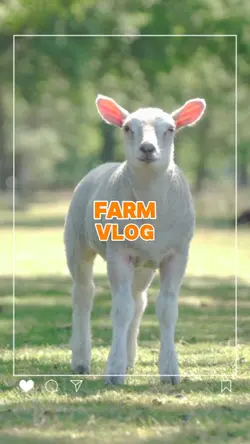 50. Farm Vlog 