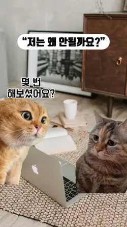 고양이 그린스크린