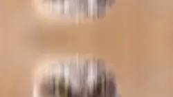 Wild template 