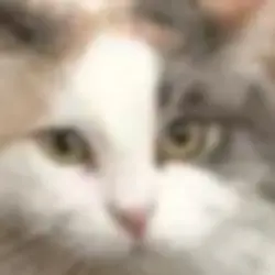 ;3