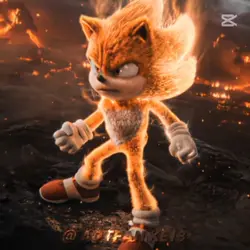 Sonic the hedgehog 