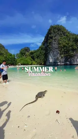 SUMMER VACATION