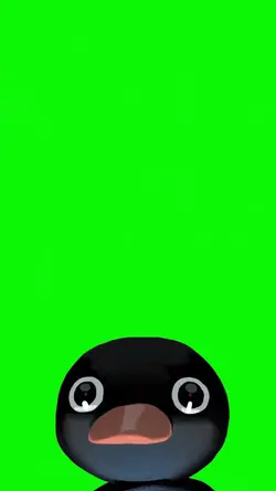 PINGU PINGUIM MEME