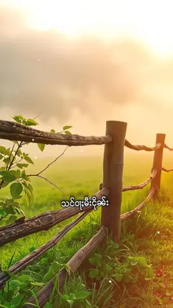 သႂ်ႇၶႅပ်းႁၢင်ႈသူ 1