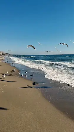 Beach vlog travel