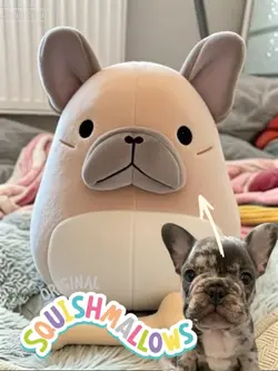 SQUISHMALLOW AI 
