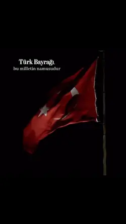 Bayrak Namustur...