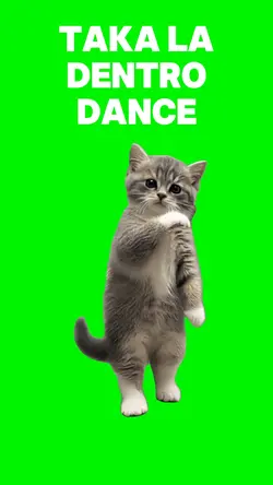 TAKA LA DENTRO