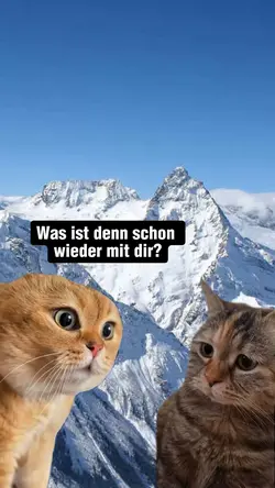 Nach Dubai bitte!