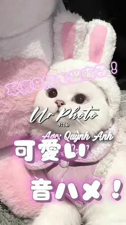 可愛い音ハメ♡