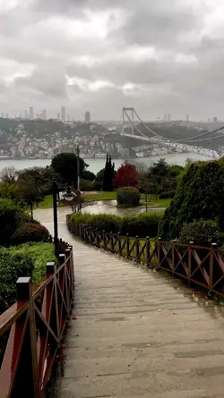 ALİ_OFFİCİL.