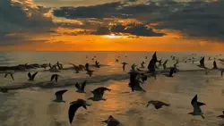 aesthetic slowmotion