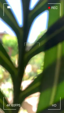 Vlog
