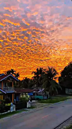 Senja HD+