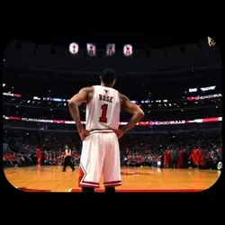 D rose