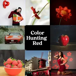 Color hunting red❤️