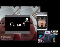 Bad Apple