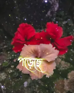 পড়েছে তোরি প্রেম এ 