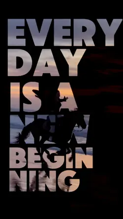 Everyday 