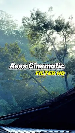 Aees Cinematic