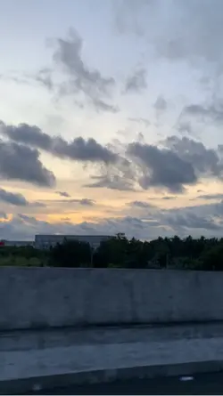 MINI VLOG