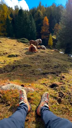 travel stories 