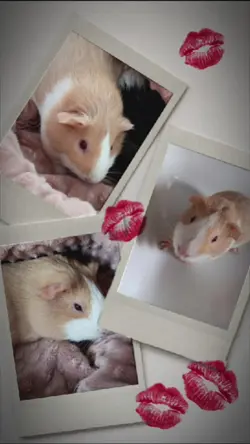 Kiss<3