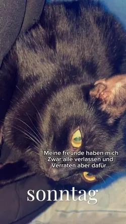 Nur er❤️