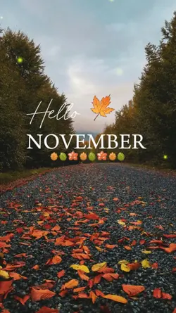 Hello November 