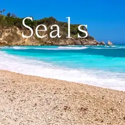 Seals of the world!!