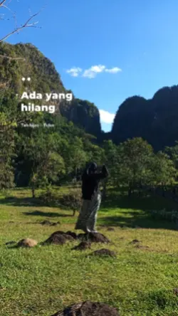 Teh hijau