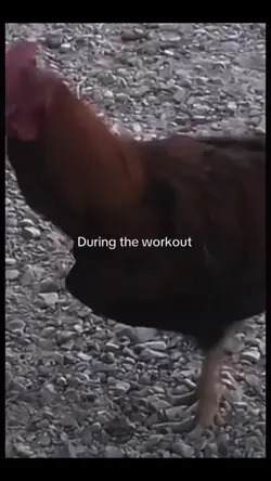AFTER LEG DAY