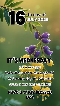 it's Wednesday 