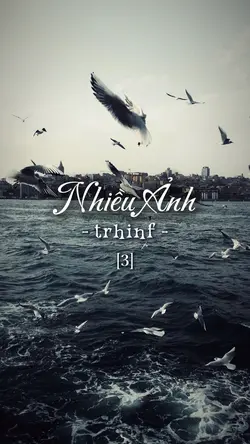 Nhiều ảnh [3]