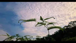 slowmo 
