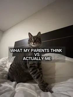 parents vs me :3