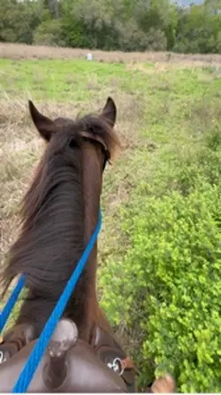 🤠