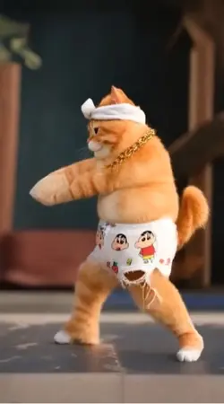 猫咪跳舞