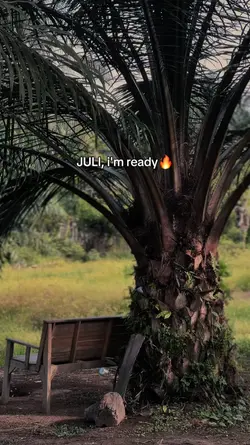 JULI, i'm ready