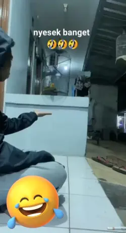 burung ku kucing ku