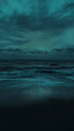 OCEAN BEAUTY